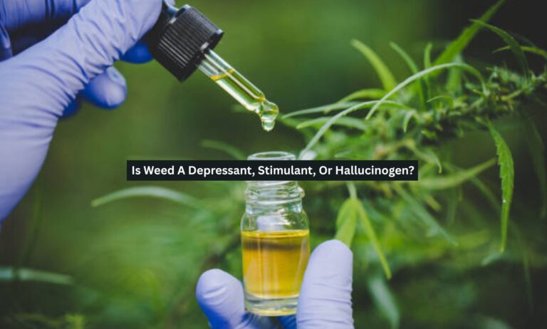 Is Weed A Depressant, Stimulant, Or Hallucinogen?