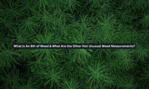 Weed Measurements