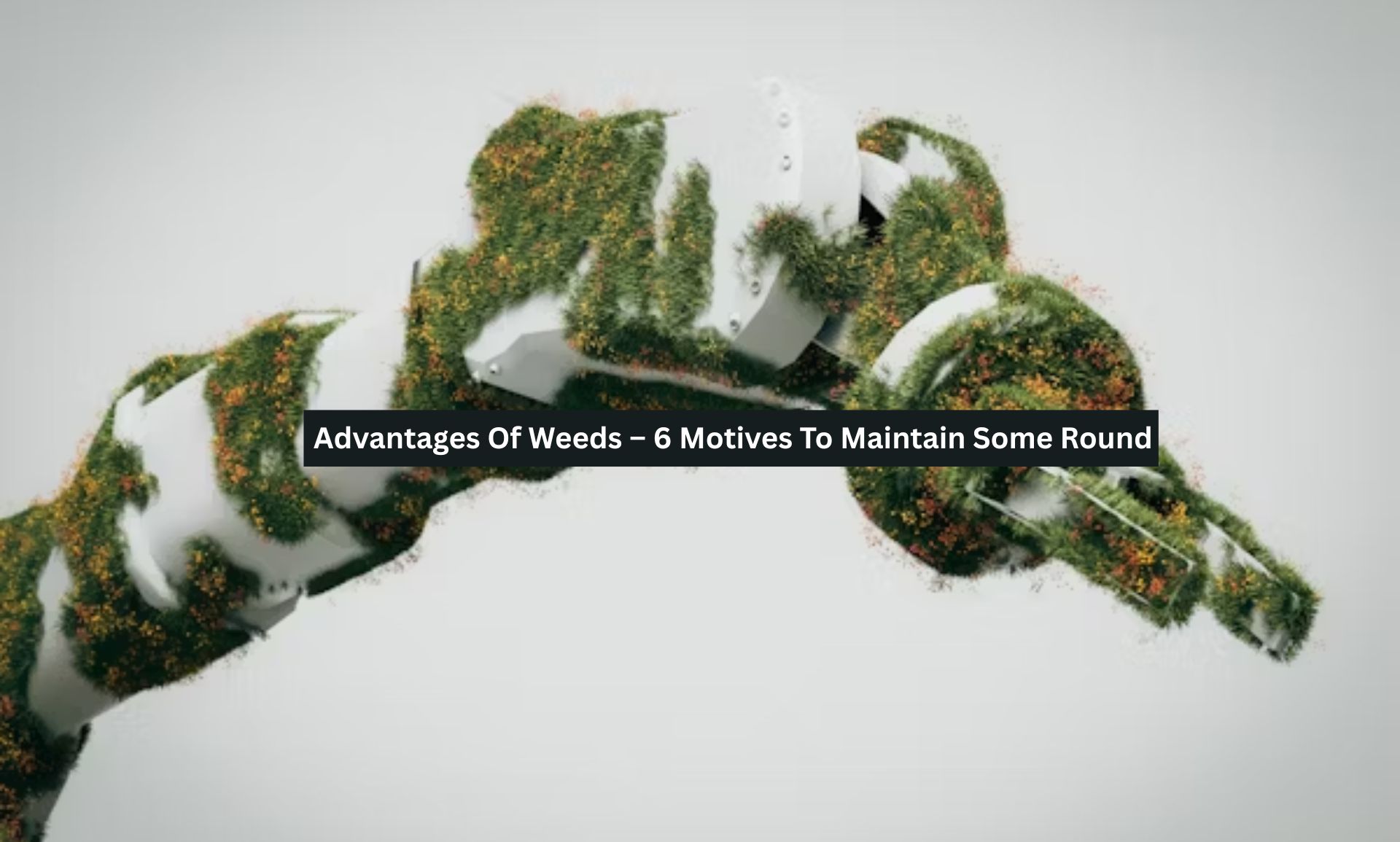 Advantages Of Weeds