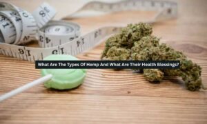 What Are The Types Of Hemp And What Are Their Health Blessings?
