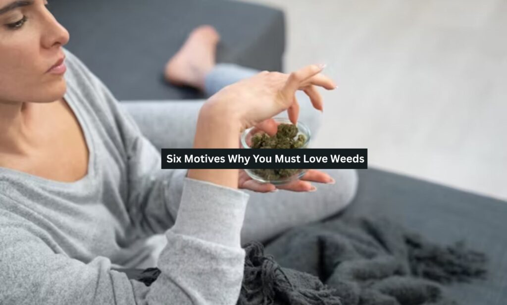Six Motives Why You Must Love Weeds