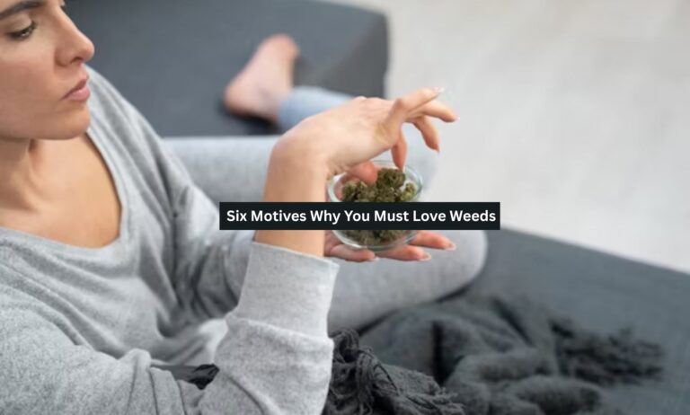 Six Motives Why You Must Love Weeds